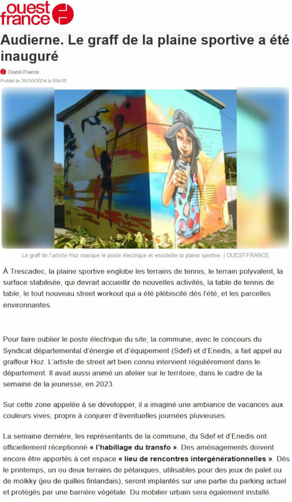 Fresque sur un bloc électrique à Audierne par HOZ