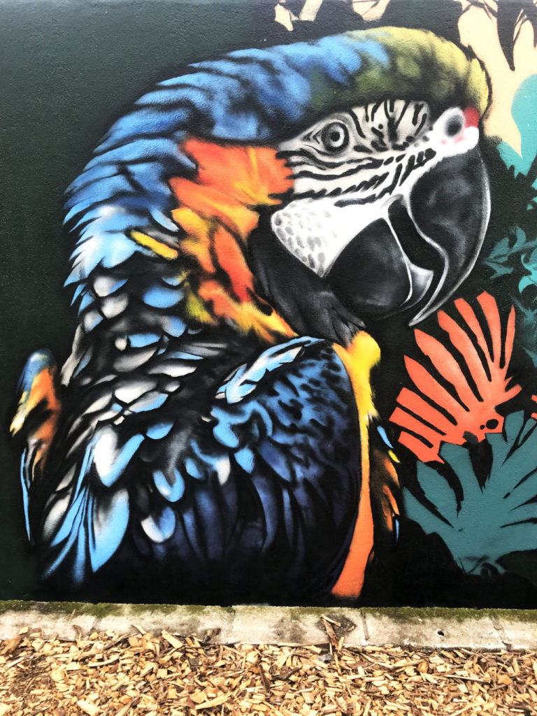 Détail d'une décoration murale de jungle tropicale à Quimper (5/5)