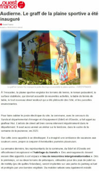 Fresque sur un bloc électrique à Audierne par HOZ